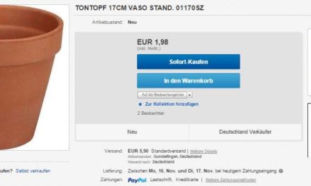 eBay: Warum Käufer den Marktplatz meiden