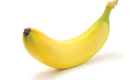 Was ist eigentlich UX: Das erklärt die Bananen-Analogie