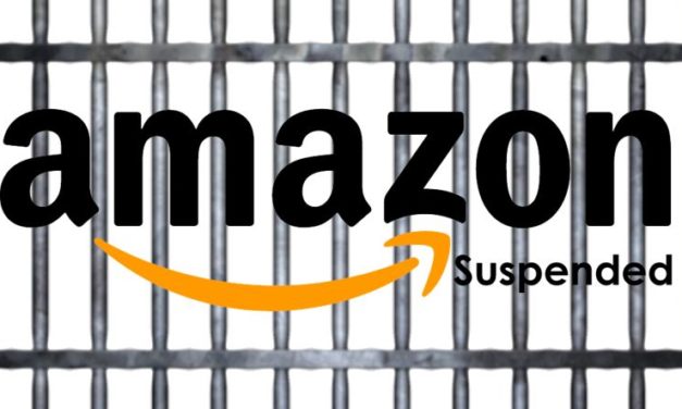Statistik: Amazon Seller Suspendierungen 2017