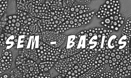 Basics: SEM & SEO für Anfänger