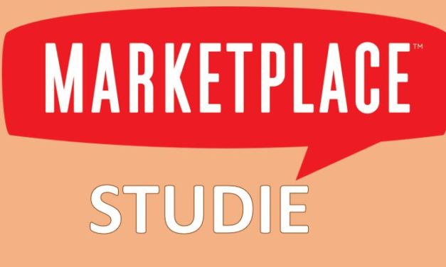 Marktplatz-Studie: Die Vielfalt der Online-Marktplätze und -Plattformen