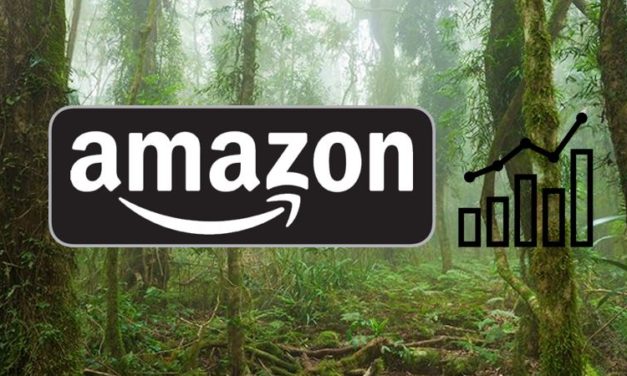 Amazon Statistik: Anzahl Amazon Händler weltweit 2018