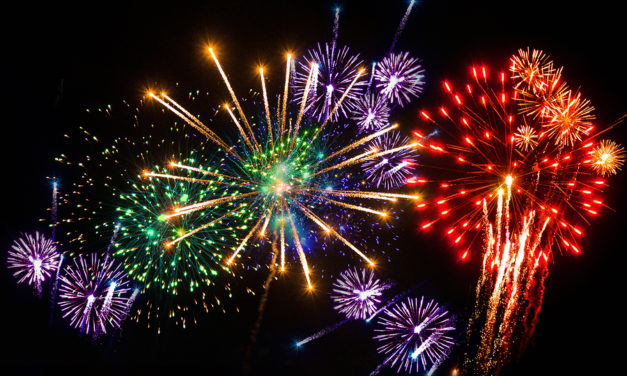Sehr profitabler Onlineshop für Feuerwerk zu verkaufen