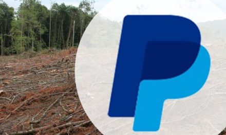 Paypal nur noch mit 46 Mitarbeitern in Berlin?
