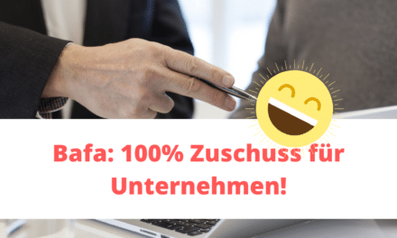 Bafa: 100% Zuschuss für Unternehmen! [Werbung]