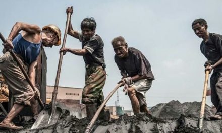 Reminder & Kritik: Die Mehrwersteuersenkung – außer Spesen nix gewesen?