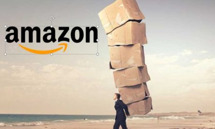 Amazon Zahlen Q1 aus Seller Perspektive