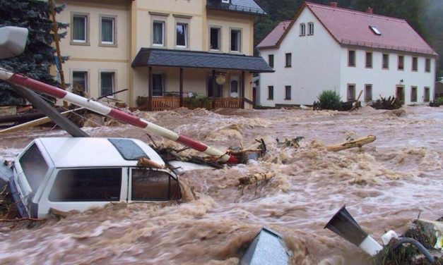 Onlinehändler Denis M. Klug: Wenn Wasser, Sturm oder Feuer kommt!