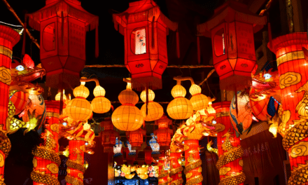 Chinese New Year – Und das Chaos geht wieder los