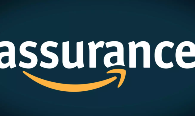 “Schutz der Verkäuferleistung” von Amazon, was ist das?