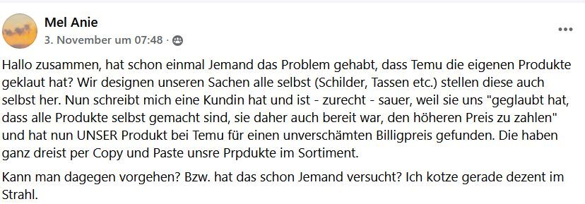 Temu Report 2025 Händler Meinung